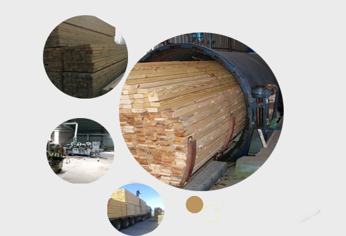 公司擁有龐大生產(chǎn)規(guī)模